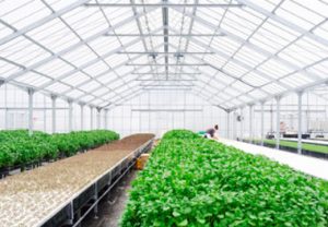 탄소섬유난방 탄소난방 탄소난방필름 탄소필름 탄소발열체 탄소섬유바닥난방 PTC난방필름 편백홈사우나 인성에너지