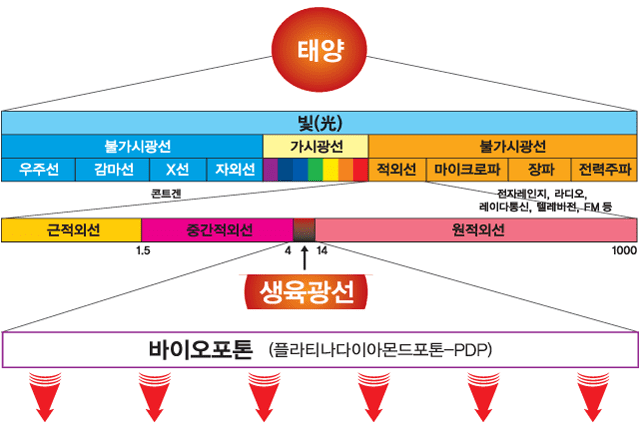 탄소섬유난방 탄소난방 탄소난방필름 탄소필름 탄소발열체 탄소섬유바닥난방 PTC난방필름 편백홈사우나 인성에너지