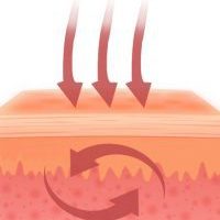 탄소섬유난방 탄소난방 탄소난방필름 탄소필름 탄소발열체 탄소섬유바닥난방 PTC난방필름 편백홈사우나 인성에너지