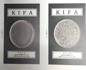 탄소섬유난방 시험성적서