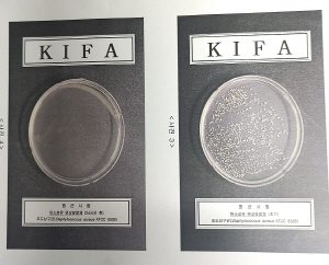 탄소섬유난방 시험성적서